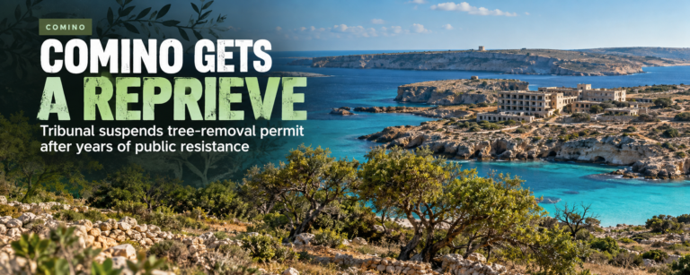 comino tree removal suspension